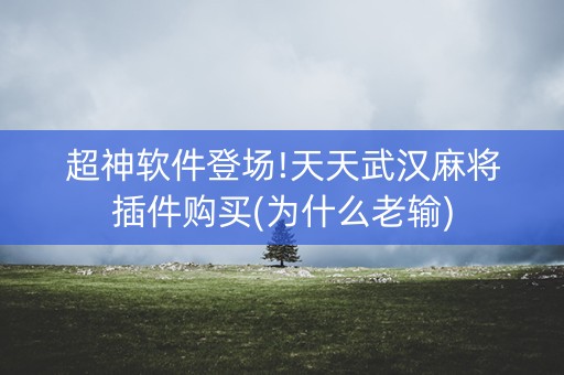 超神软件登场!天天武汉麻将插件购买(为什么老输)