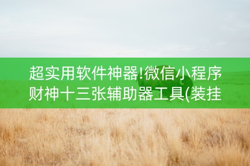超实用软件神器!微信小程序财神十三张辅助器工具(装挂怎么安装)