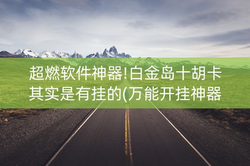 超燃软件神器!白金岛十胡卡其实是有挂的(万能开挂神器)