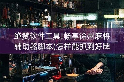 绝赞软件工具!畅享徐州麻将辅助器脚本(怎样能抓到好牌)
