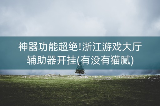 神器功能超绝!浙江游戏大厅辅助器开挂(有没有猫腻)