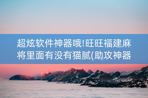 超炫软件神器哦!旺旺福建麻将里面有没有猫腻(助攻神器)