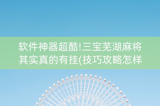 软件神器超酷!三宝芜湖麻将其实真的有挂(技巧攻略怎样拿好牌)