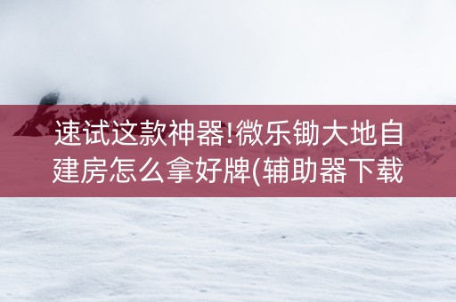 速试这款神器!微乐锄大地自建房怎么拿好牌(辅助器下载)