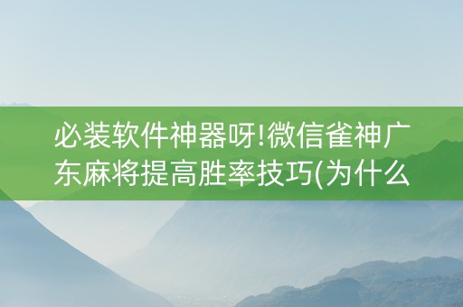 必装软件神器呀!微信雀神广东麻将提高胜率技巧(为什么有人一直赢)