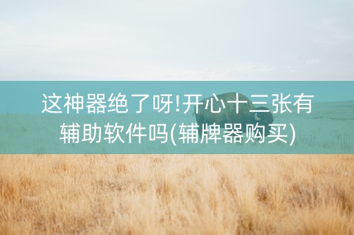 这神器绝了呀!开心十三张有辅助软件吗(辅牌器购买)