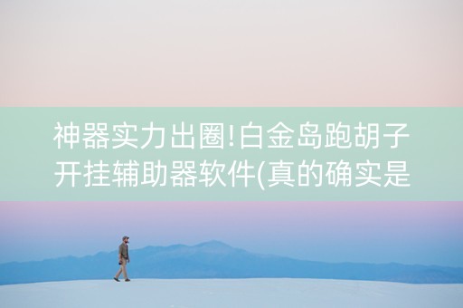 神器实力出圈!白金岛跑胡子开挂辅助器软件(真的确实是有挂)