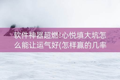 软件神器超燃!心悦填大坑怎么能让运气好(怎样赢的几率大)
