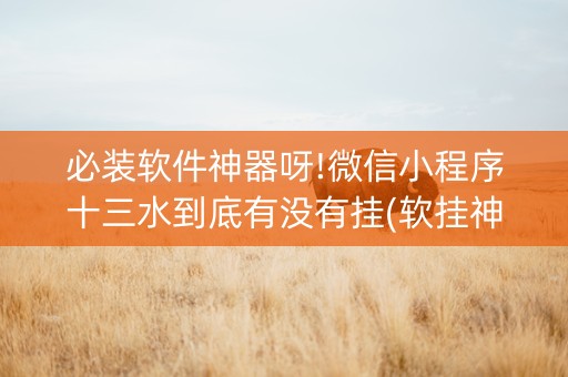 必装软件神器呀!微信小程序十三水到底有没有挂(软挂神器)