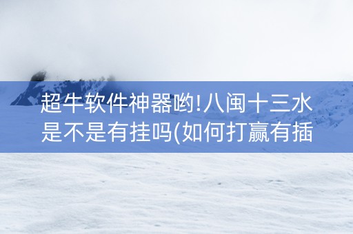 超牛软件神器哟!八闽十三水是不是有挂吗(如何打赢有插件吗)