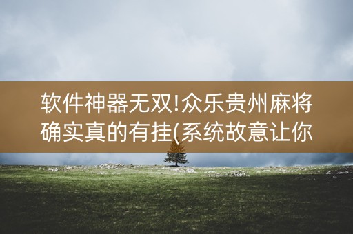 软件神器无双!众乐贵州麻将确实真的有挂(系统故意让你输)