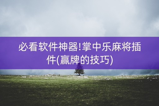 必看软件神器!掌中乐麻将插件(赢牌的技巧)