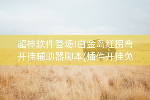 超神软件登场!白金岛红拐弯开挂辅助器脚本(插件开挂免费AI)