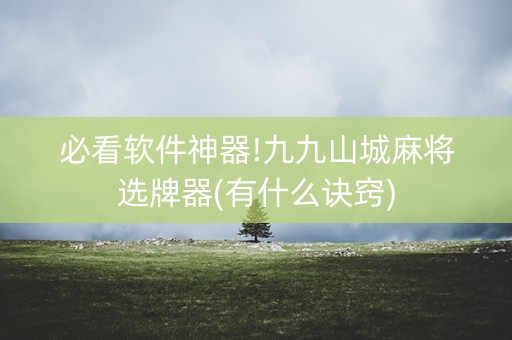 必看软件神器!九九山城麻将选牌器(有什么诀窍)