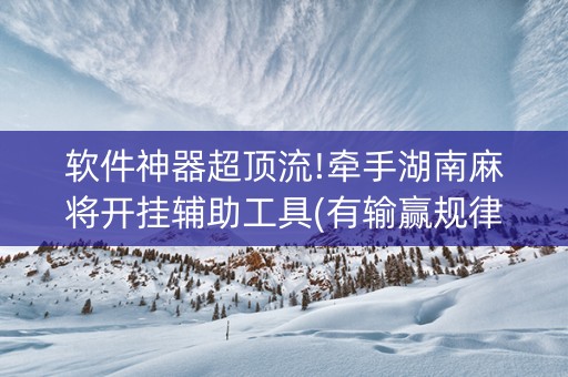 软件神器超顶流!牵手湖南麻将开挂辅助工具(有输赢规律吗)