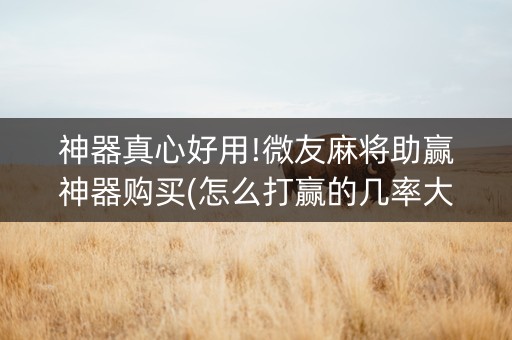神器真心好用!微友麻将助赢神器购买(怎么打赢的几率大)