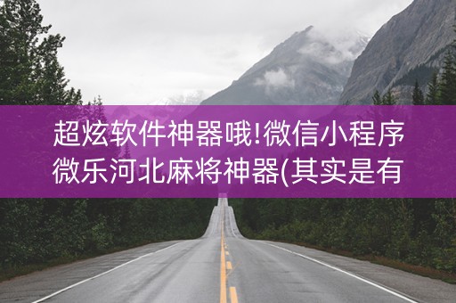 超炫软件神器哦!微信小程序微乐河北麻将神器(其实是有挂确实有挂)