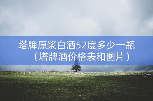 塔牌原浆白酒52度多少一瓶（塔牌酒价格表和图片）