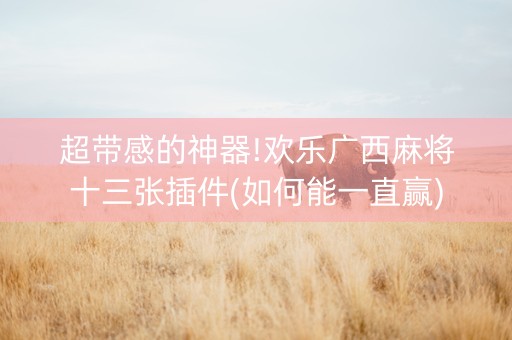 超带感的神器!欢乐广西麻将十三张插件(如何能一直赢)
