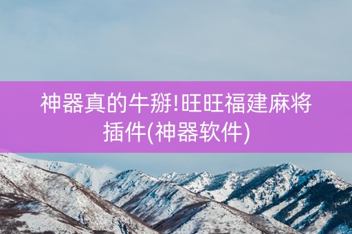 神器真的牛掰!旺旺福建麻将插件(神器软件)