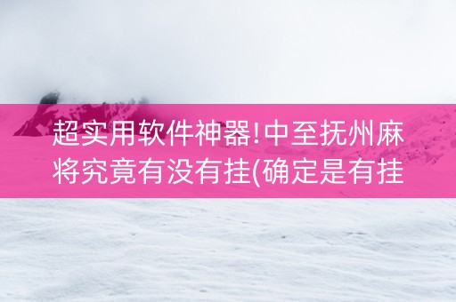 超实用软件神器!中至抚州麻将究竟有没有挂(确定是有挂)