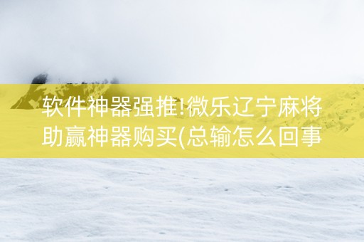 软件神器强推!微乐辽宁麻将助赢神器购买(总输怎么回事)