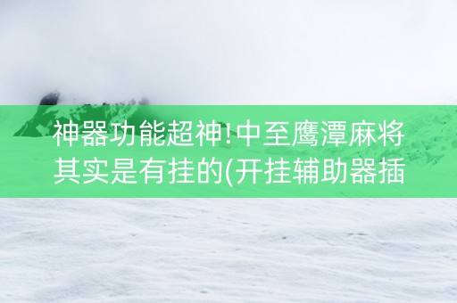 神器功能超神!中至鹰潭麻将其实是有挂的(开挂辅助器插件)