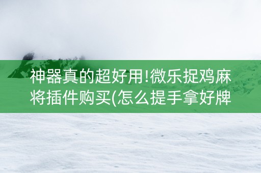 神器真的超好用!微乐捉鸡麻将插件购买(怎么提手拿好牌)