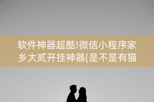 软件神器超酷!微信小程序家乡大贰开挂神器(是不是有猫腻)