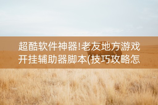 超酷软件神器!老友地方游戏开挂辅助器脚本(技巧攻略怎样拿好牌)