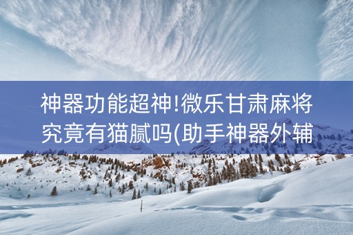 神器功能超神!微乐甘肃麻将究竟有猫腻吗(助手神器外辅工具)