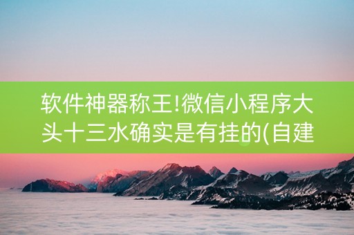 软件神器称王!微信小程序大头十三水确实是有挂的(自建房怎么拿好牌)