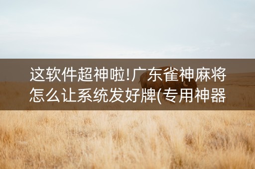 这软件超神啦!广东雀神麻将怎么让系统发好牌(专用神器)
