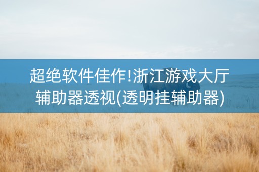 超绝软件佳作!浙江游戏大厅辅助器透视(透明挂辅助器)