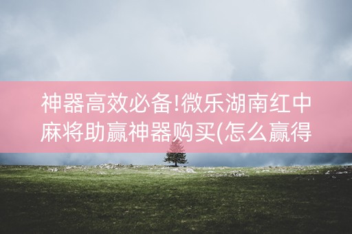 神器高效必备!微乐湖南红中麻将助赢神器购买(怎么赢得多)
