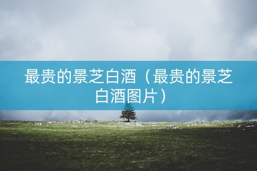 最贵的景芝白酒（最贵的景芝白酒图片）