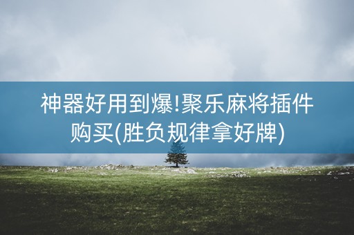 神器好用到爆!聚乐麻将插件购买(胜负规律拿好牌)