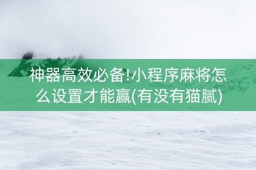 神器高效必备!小程序麻将怎么设置才能赢(有没有猫腻)