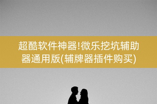 超酷软件神器!微乐挖坑辅助器通用版(辅牌器插件购买)