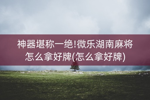 神器堪称一绝!微乐湖南麻将怎么拿好牌(怎么拿好牌)