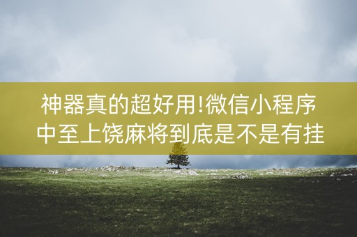 神器真的超好用!微信小程序中至上饶麻将到底是不是有挂(技巧和打好牌方法)