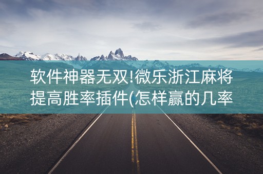 软件神器无双!微乐浙江麻将提高胜率插件(怎样赢的几率大)