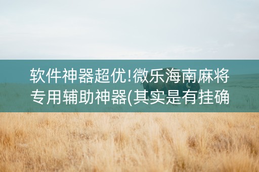 软件神器超优!微乐海南麻将专用辅助神器(其实是有挂确实有挂)