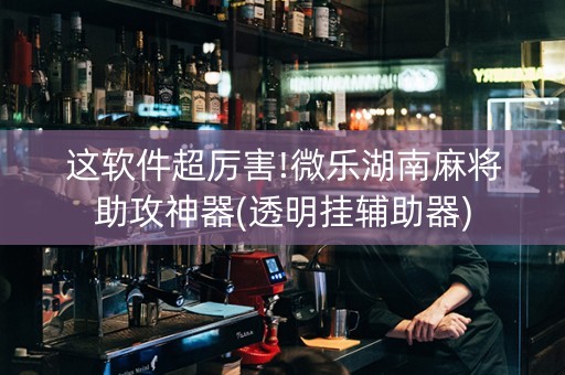 这软件超厉害!微乐湖南麻将助攻神器(透明挂辅助器)