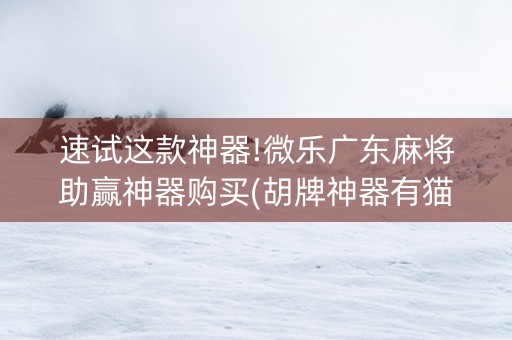 速试这款神器!微乐广东麻将助赢神器购买(胡牌神器有猫腻吗)