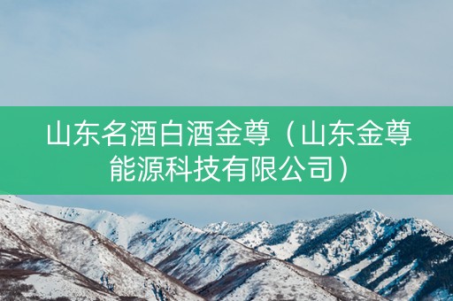 山东名酒白酒金尊（山东金尊能源科技有限公司）