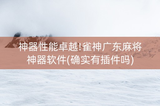 神器性能卓越!雀神广东麻将神器软件(确实有插件吗)