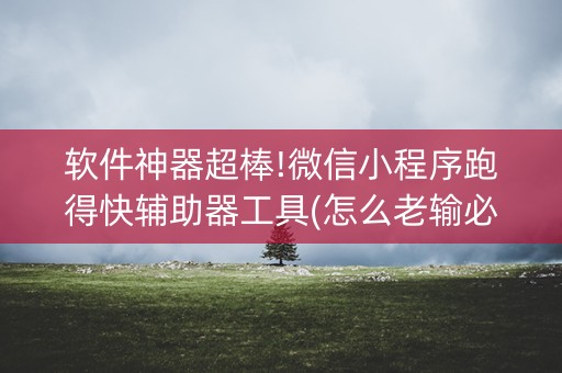 软件神器超棒!微信小程序跑得快辅助器工具(怎么老输必备神器)
