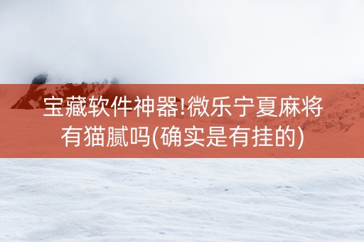 宝藏软件神器!微乐宁夏麻将有猫腻吗(确实是有挂的)