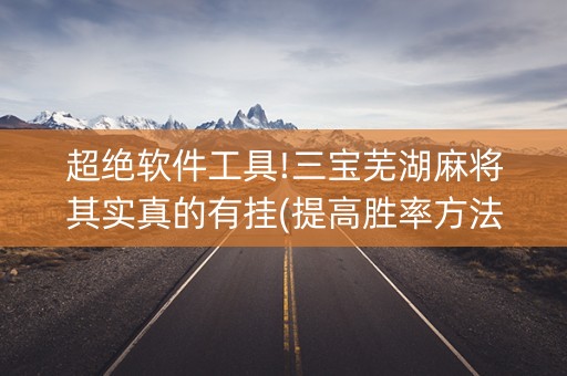 超绝软件工具!三宝芜湖麻将其实真的有挂(提高胜率方法)